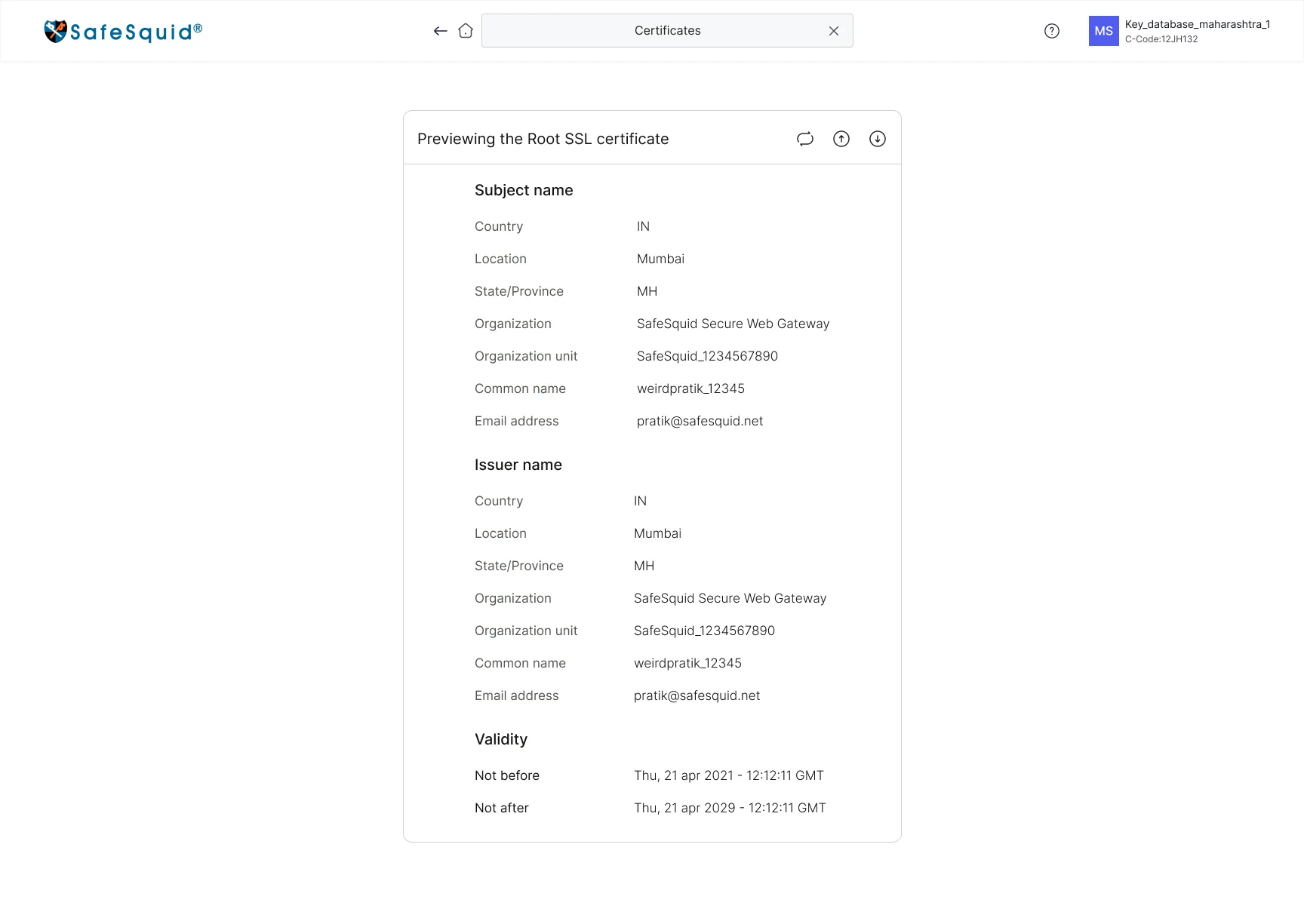 Preview before download: subject, issuer, validity