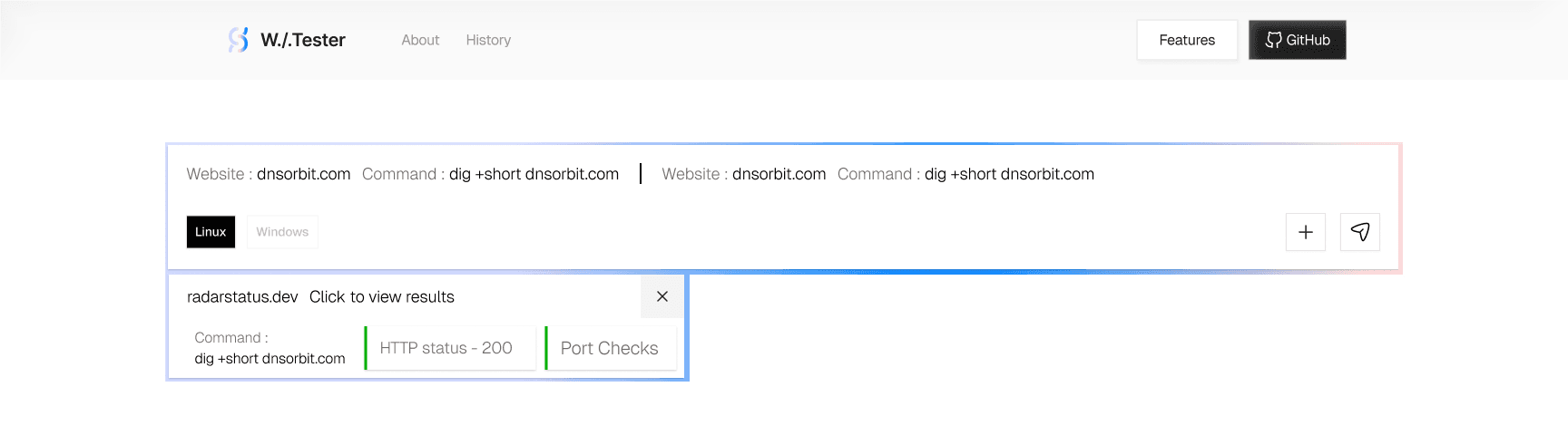 Expanded Website Tester tab showing command, HTTP status, and port checks